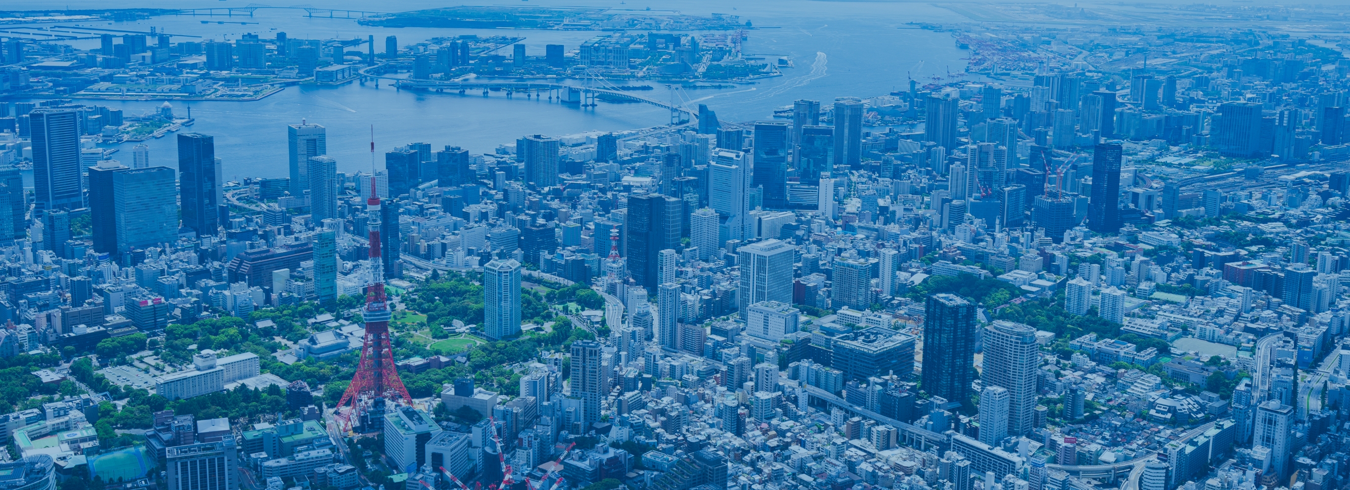 マイナビ2026のボタン