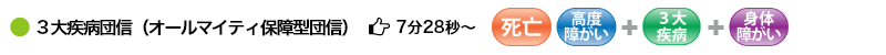 ●３大疾病団信（オールマイティ保障型団信） 5分3秒 （死亡・高度障がい＋３大疾病＋重度障がい）